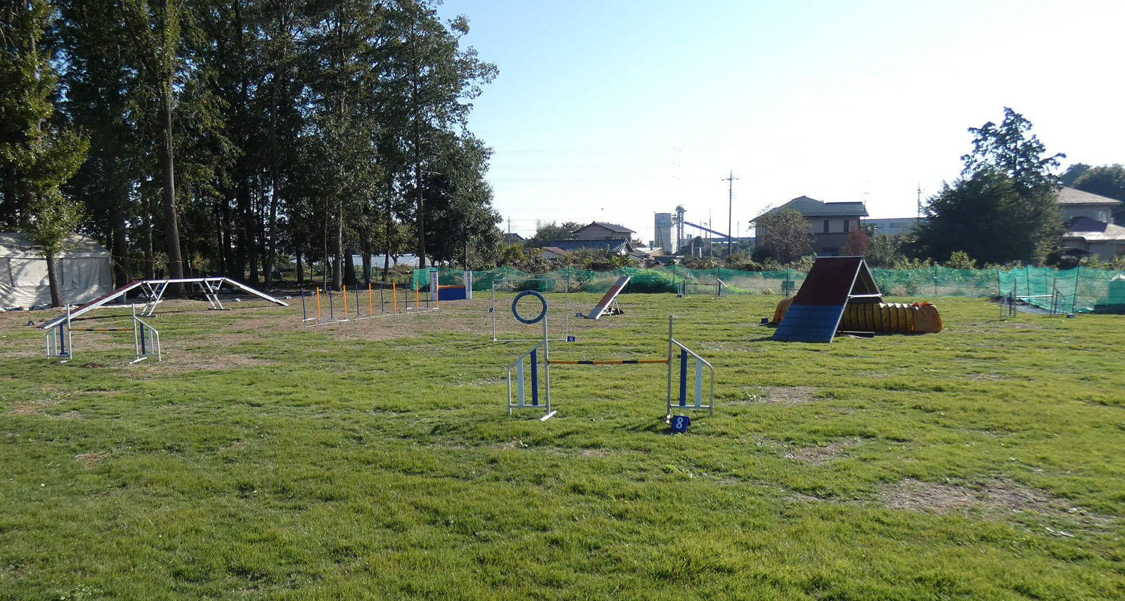 【狭山・入間・川越】「うちの子は無理」と諦めないで。ミネルヴァドッグスクールが選ばれる3つの理由