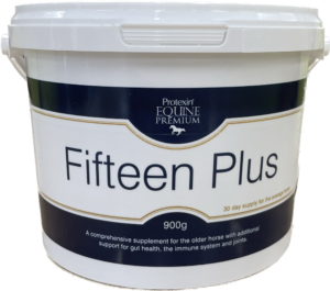 フィフティーンプラス写真