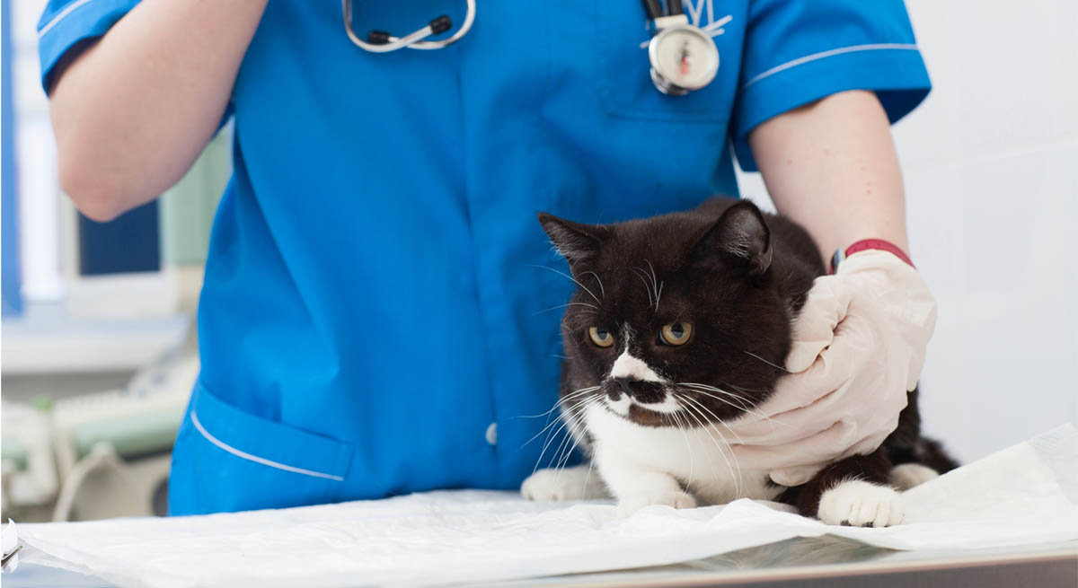 院内の衛生対策、清潔な空間作りと消臭を一本で。「還元性イオン水」サイクリーンのエビデンスと待合室での活用事例